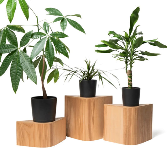 Floor Plant Stand Indoor Wood for Single Planter Stands, Wooden Modern Flower Podium Blocks, Unique Display for House Plants Pot